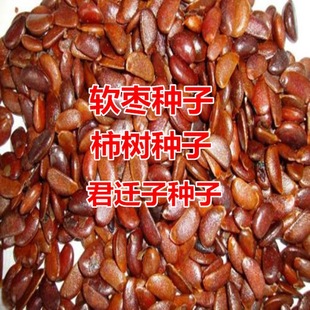 ����N�Ӿ��w�ӷN�Ӻ�����ܛ���N�Ѽ޽����Ә���Ҙ���ľ��Ұ����