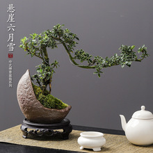 ѩСԲ̨Gֲ͏d[҃԰]