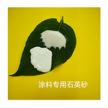 ���ϰ�ɫʯӢɰ70-90Ŀ ��ˮ�^�V���� �t���T��ԭ�����l�S��ֱ�N