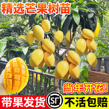 âļFâPؼ޽ӘϷ̨ԵԺB