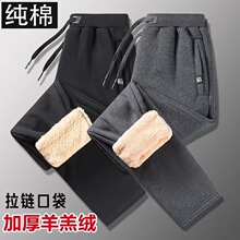 ���q���\��ѝ�ӽq�Ӻ�ů���e�����Lѝ�n�挒�����_��a�lѝ