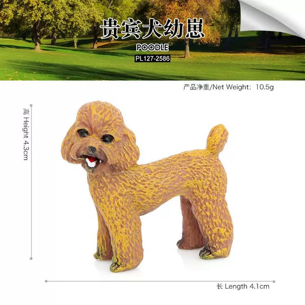 PL127-2586 Poodle Cub