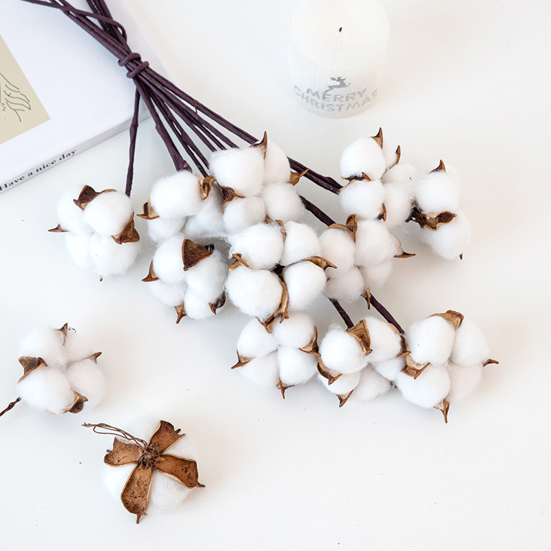 NUCHI cross-border handmade dried flower cotton bunch single-head…