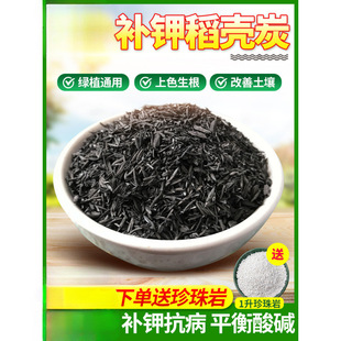 �����҈@ˇ̿��ľ���w���r�ҷ�⛷ʷ������������S��ֱ�l���Ț�