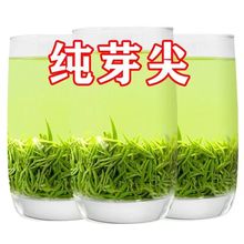 信阳毛尖2023明前新茶浓香型嫩芽毛尖茶叶自产自销一件绿茶