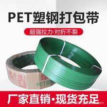 1608塑钢打包带20公斤手工打包带塑料打包带捆扎带绿色pet厂家