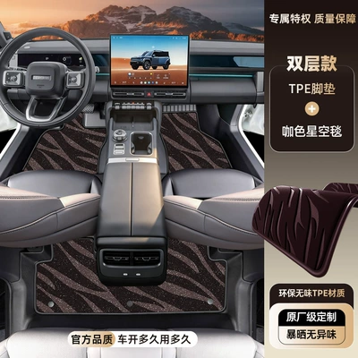 Modelə uyğun ayaqaltı: V27 Full-Coverage Interior Decorative Carpets - chery-icar-v27-tpe-foot-pad-upgrade-package-threshold-tpe-floor-mat-coffee-starry-sky-blanket
