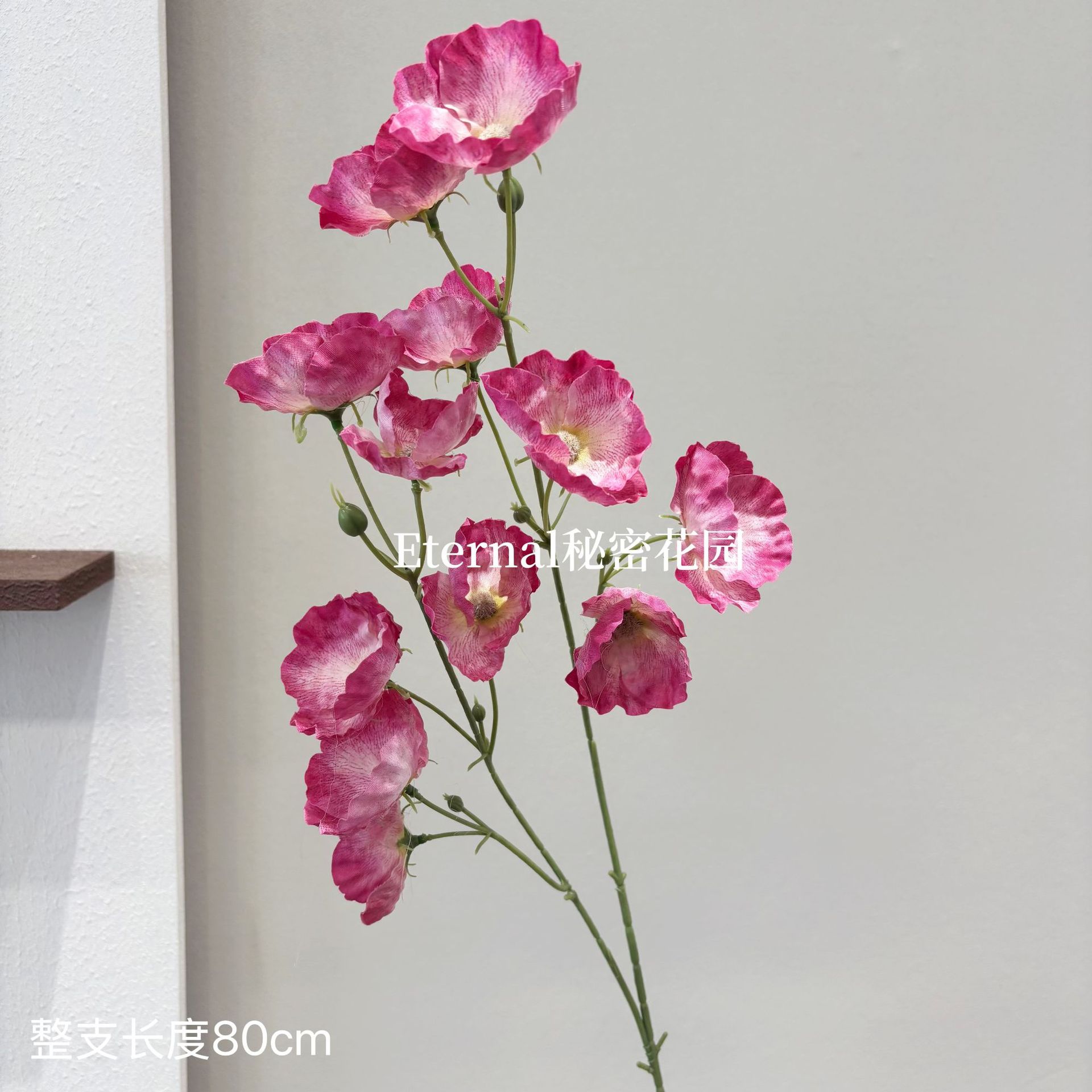작은 양귀비 장미 12송이