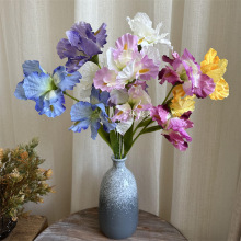 2�^�Sβ�� ���滨�����z�L���ӼҾ��b�c�zӰ���߸߶˔[������