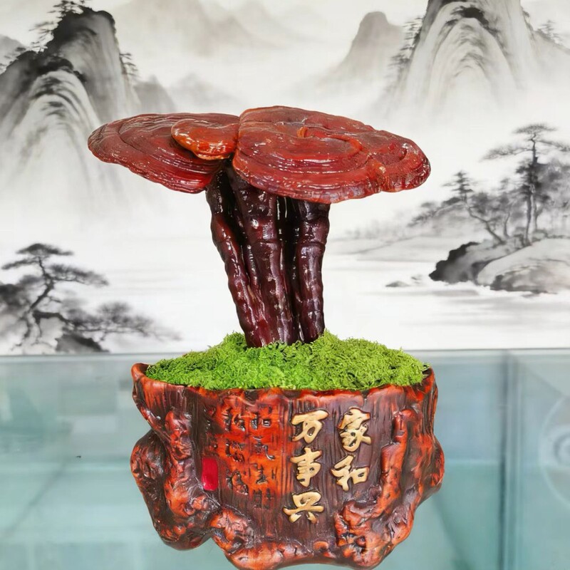 Ganoderma Lucidum Bonsai, a Living Plant That Simulates the Wild Environment, Easy to Maintain All Year Round, a Wealth-Attracting Ornament, a Source of Fortune, a Ganoderma Lucidum Bonsai for the Office to Attract Wealth Ganoderma Lucidum Bonsai, a Living Plant That Simulates the Wild Environment, Easy to Maintain All Year Round, a Wealth-Attracting Ornament, a Source of Fortune, a Ganoderma Lucidum Bonsai for the Office to Attract Wealth