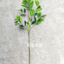 ���晎��֦���������~����~��֦�~â���~�����~�٘�������~��֦