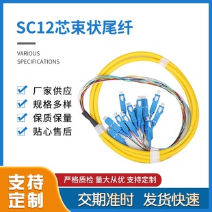 Manufacturers supply core bundle color fiber LC core pigtail durable quality guarantee fast delivery