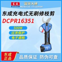 ����DCPR16351F2S�綯��֦���ӳ��ʽ԰�ֹ�������������֦﮵�