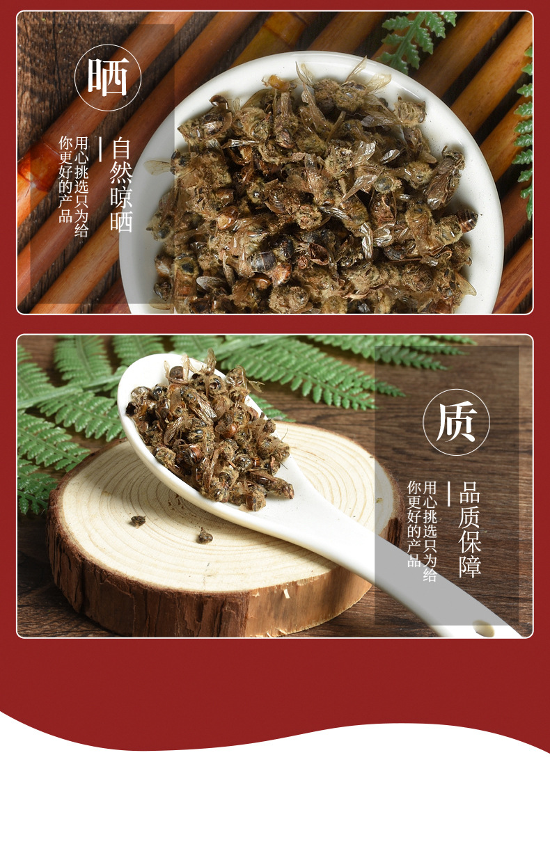 Bee Bodies (Apis cerana) — Naturally Sun-Dried Whole Bee Bodies, Food-Grade Herbal Material 500g quality and texture