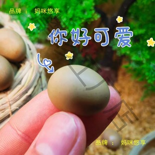 ���l�J���u�ܾ����ɷ��������u�W�t�u�R���u�N����ϵ׃�����߻�