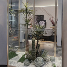 森空间仿真绿植造景室内角落橱窗微景观搭配植物剑麻装饰落地盆栽