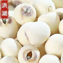 ������İ�ɏ�Ӹ�؛�oоȥо��ɏĥƤ�t��ɏ��Ŵ�o����������خa