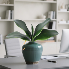 仿真蝴蝶兰叶手感软胶PU君子兰叶高档EVA蝴蝶兰叶丝网花配件 插花