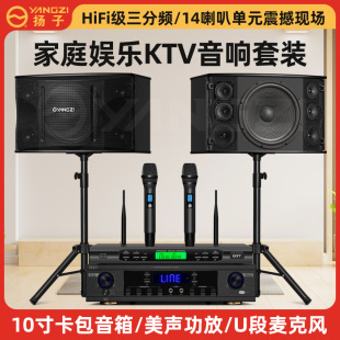Yangzi Family Ktv Audio Set Professional Card Package Speaker Conference Room Living Room Dance Wall Hanging