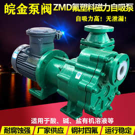 氟塑料磁力自吸泵32-80ZMD型衬氟防腐蚀耐酸碱化工磁力驱动泵