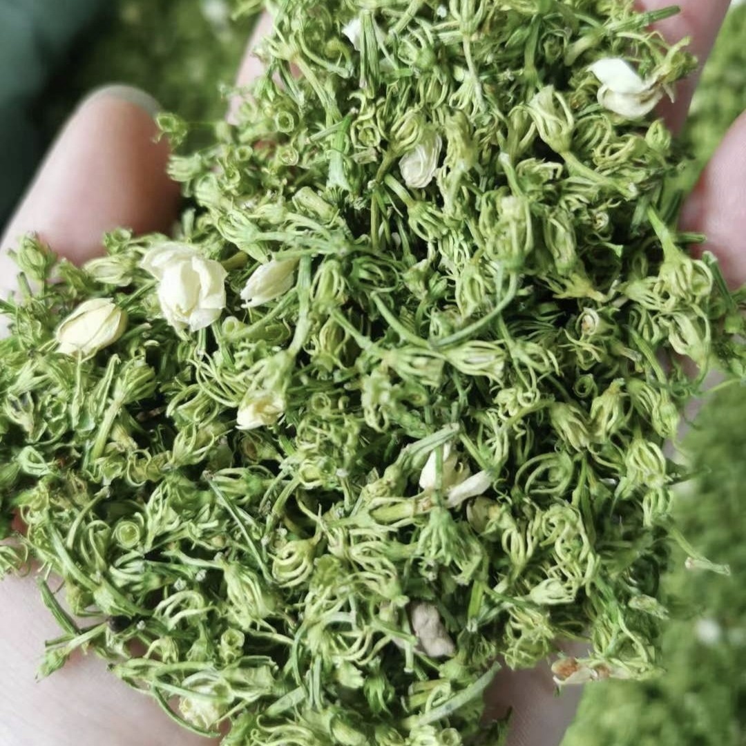 广西南宁横州市茉莉花产地直销，茉莉花干，茉莉花梗