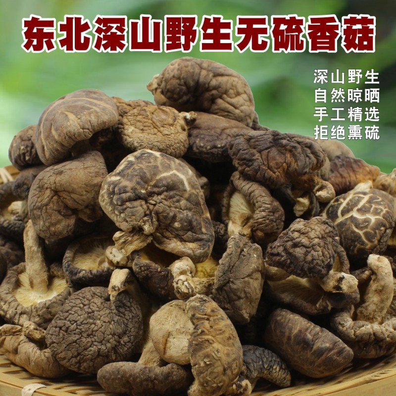 东北野生香菇 特干货级长白山 天然花菇冬菇珍珠菇散装500g干蘑菇