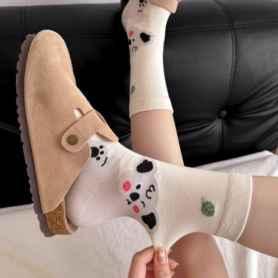 2025 spring and summer new all-in-one machine Korean version of cute boneless mesh tube socks fashion versatile women's cotton socks four seasons