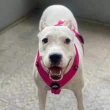 ���N�Ÿ���Ȯ���w�CȮ֮���Ÿ��o�lȮ��Ȯ����Ȯ����Ȯ����Ȯ���l