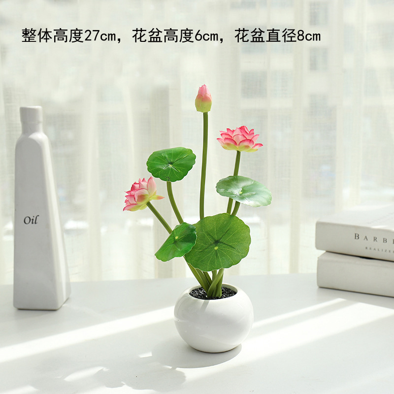 JH4566 loto rosa en maceta ☆