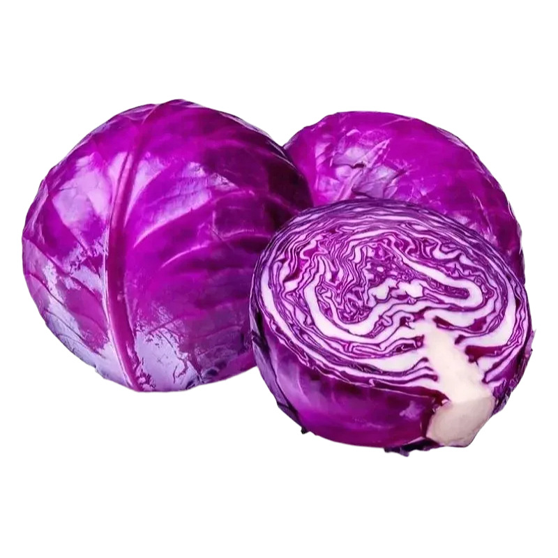山东紫甘蓝新鲜蔬菜整件包邮产地直发蔬菜紫甘蓝一件代发