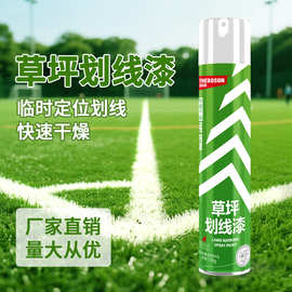自由能道路草坪划线漆标准足球场标线划线停车场白线自喷漆840ml