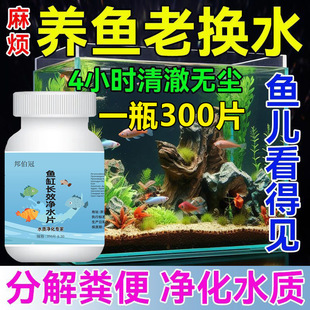 [One Bottle of 300 Tablets] Fish Tank Water Purification Tablets Purify Water Quality, Clear and Deodorize Fish Ponds, Clear Water for Fish Farming, Special for Fish Tanks