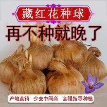 ș�òؼt���N�������緬�t��ʳ���ͺ��������t����ֲ�����