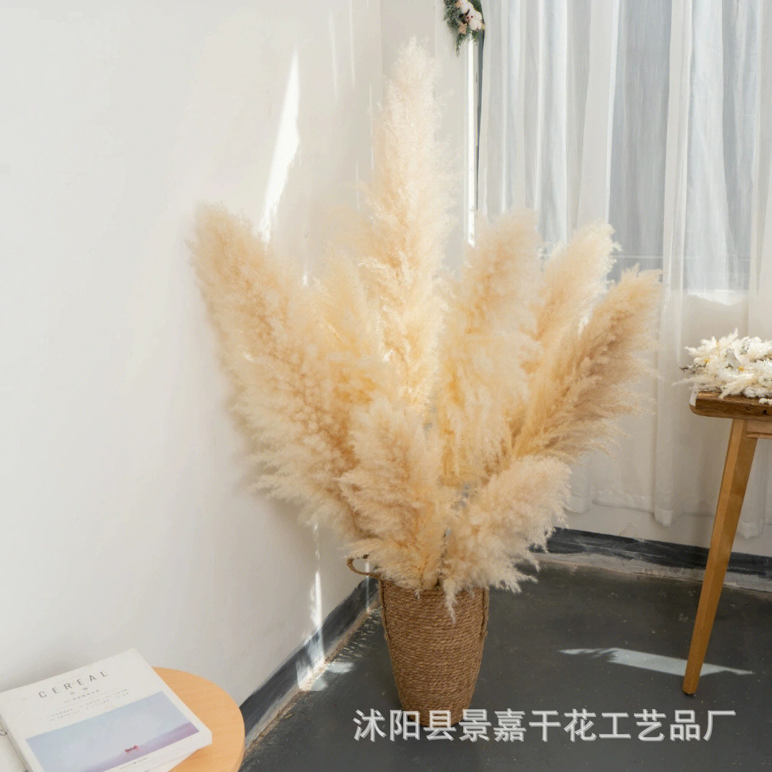 Фабрика в наличии прямые поставки большого тростникового букета из сушеных цветов Свадебные украшения дома трансграничные поставки риса белого тростника