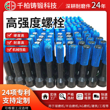 �S�ҹ��� M36x3x245mm 10.9����Ӳ����˨ OD80mmƽ�|Ȧ �r����˨