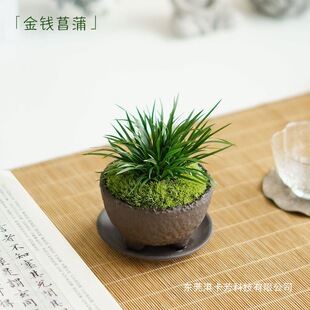 ���X�����辰��ɰ̦�\�辰�k��������С���Ի�횼��Gֲ�S����