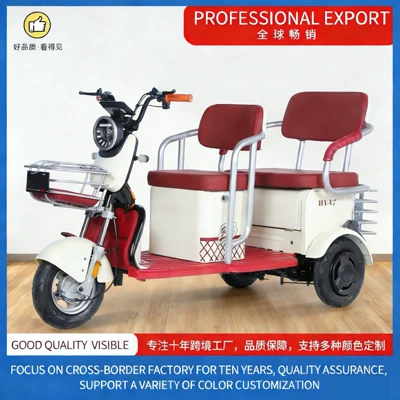 C6 Electric Tricycle Professional Factory Export Wholesale for Elderly and Children, Leisure Mobility Vehicle with Long Range