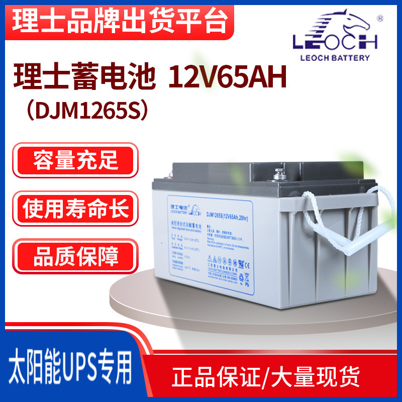 理士蓄电池铅酸UPS电池免维护12V65/100AH电源