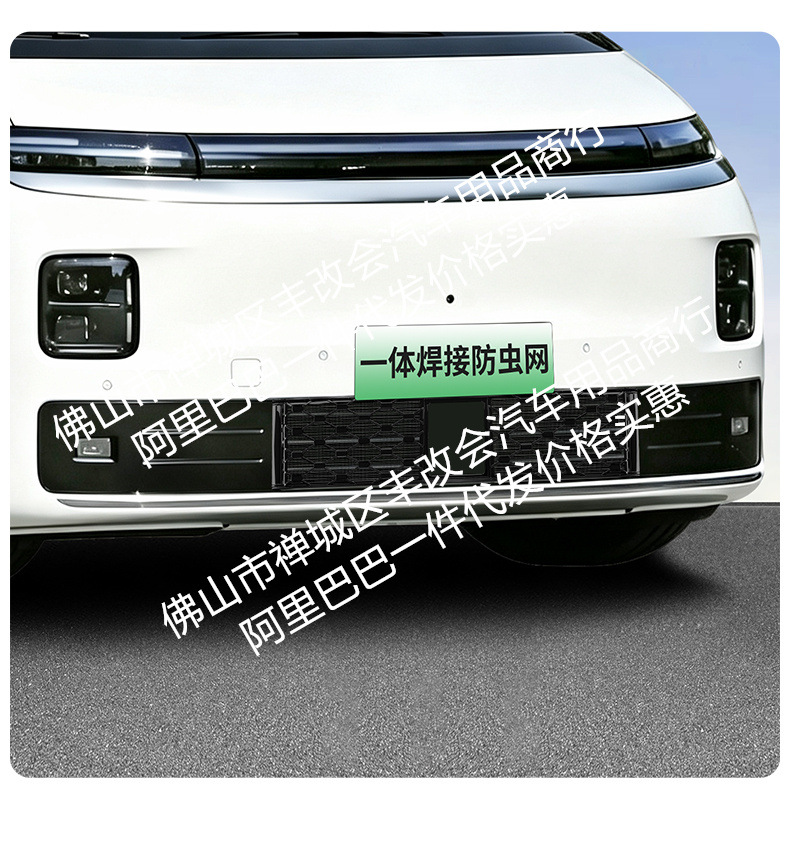 Suitable for Leapmotor D99 pure electric version/rechargeable version, integrated welded car insect-proof mesh, special accessory for the front grille