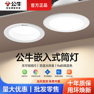 Bull Downlight Embedded Household Led Downlight Embedded Opening 75cm Holes for Home Living Room Home Decoration Lighting