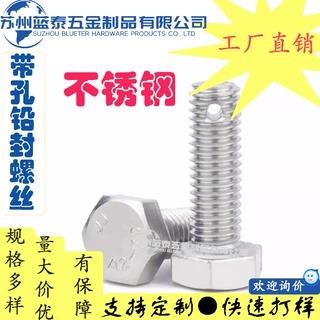厂家直销支持定制铅封螺钉 螺纹打孔防退螺栓外六角螺丝M6-M16