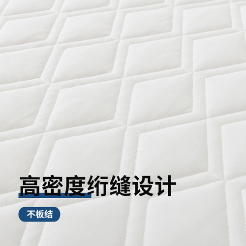 Newly Upgraded Latex Mattress for Renting, Home Use Floor Cushion, Student Thick Tatami Mattress, Dormitory Soft Pad Wholesale