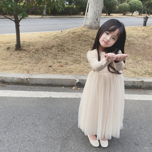 Spring and autumn girls 'dress, children's Australian velvet soft skin-friendly long-sleeved fluffy gauze dress, princess dress