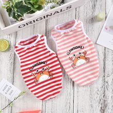 ttﴺ¿lyз·͸С͹·F؛