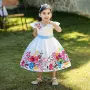 新款碎花儿童印花公主裙
