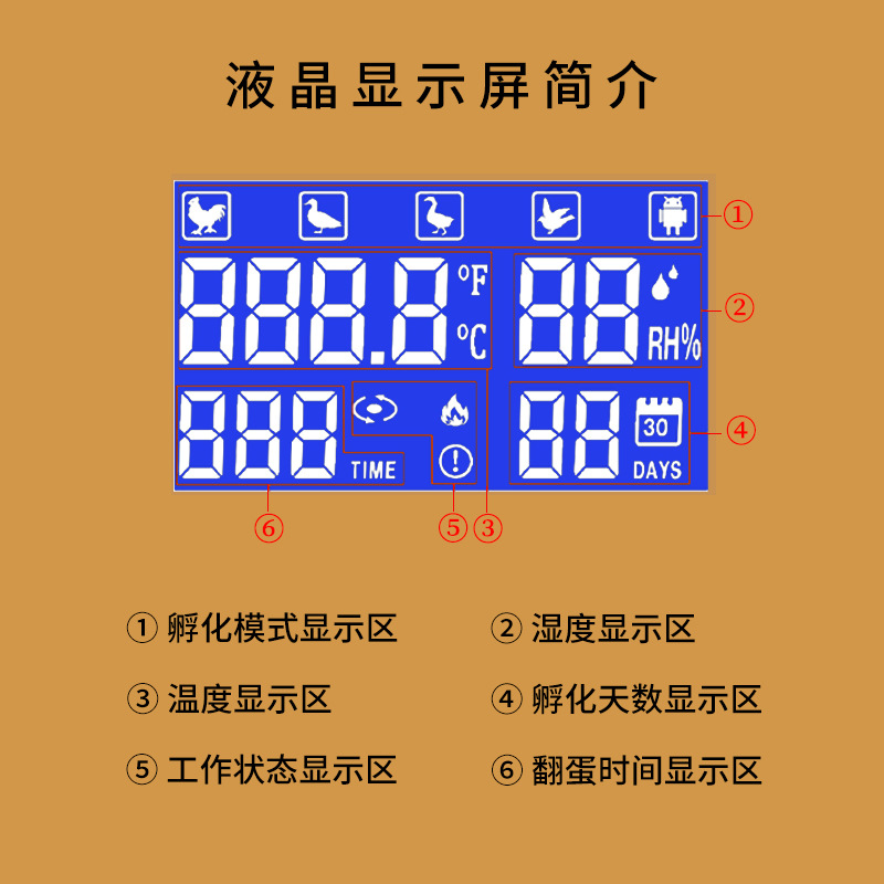 La nueva incubadora de pantalla LCD de 15 piezas tiene un modo de mango y agregación automática de agua opcional