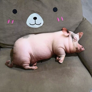 Internet Celebrity Cartoon Doll Realistic Sow Pendant Pillow Plush Toy Pig Doll Animal Piglet Stuffed Toy Doll