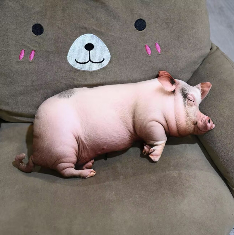 Internet Celebrity Cartoon Doll Realistic Sow Pendant Pillow Plush Toy Pig Doll Animal Piglet Stuffed Toy Doll