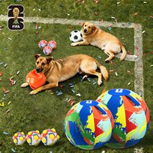 FIFA�ٷ��ڙ�������Ʒ���������׷����߹�����ҧ�������˽␞