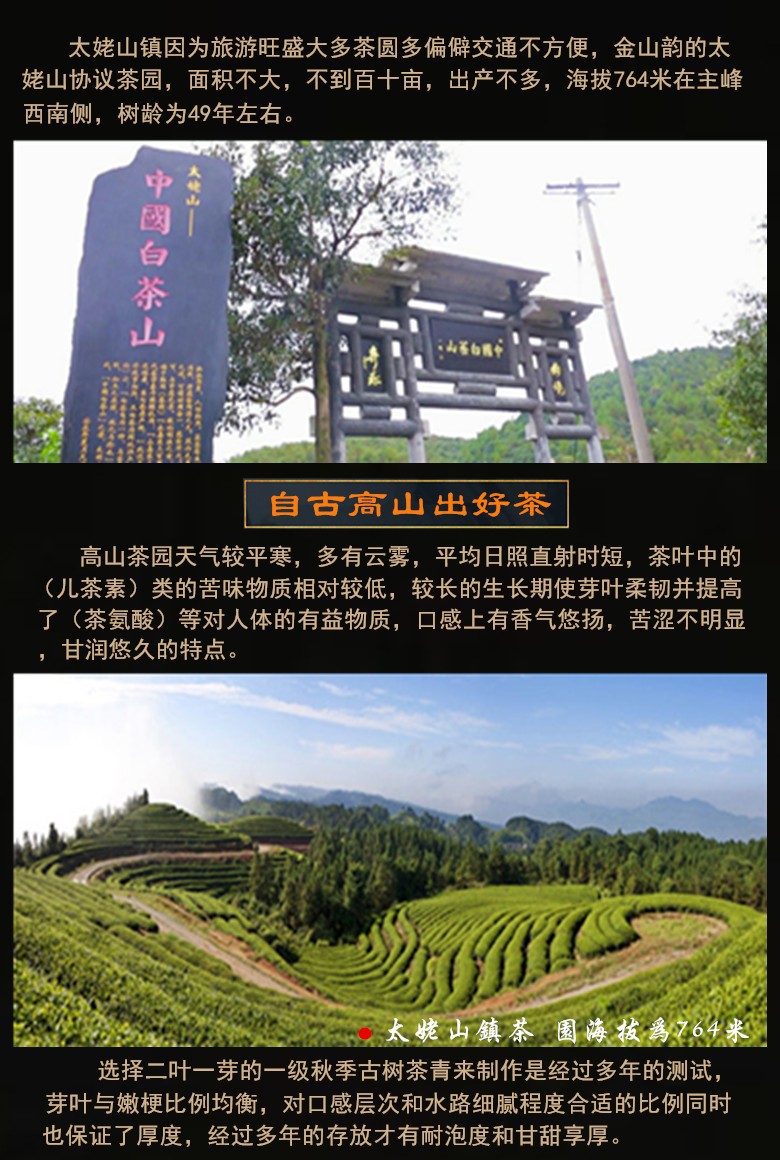 10429659551_493241570